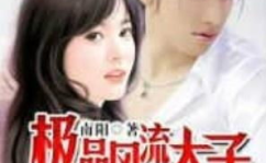 风流太子爷全文阅读,穿越重生，太子与女子的爱恨情仇