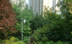锦艺国际华都二手房,长沙市中心地标性商住综合体，品质生活与投资价值双赢