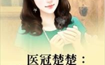 医冠楚楚:教授大人别太坏,教授大人的温柔与坏心并存