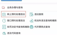 厦门市交通违章查询,便捷服务，守护安全出行