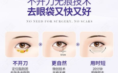 眼袋整形医院,权威排名与专业解析