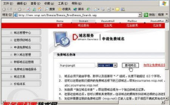申请免费域名,轻松获取个性化网络身份