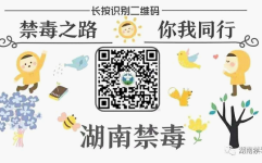 毒品的危害普及毒品预防知识 提高防毒拒毒能力