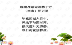 晓出净慈寺送林子方教案,感悟诗人情感——教学解析