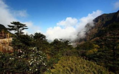 轿子雪山,轿子雪山自然奇观与人文风情之旅