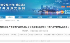 重庆市建设项目及招标网,助力招标投标透明化，推动区域经济发展”