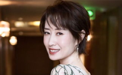 不签约经纪公司的明星,不签约经纪公司明星的璀璨之路