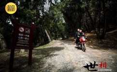 好音问！广州市医保参保人省内他乡就医不再控造挑选病院-《哪吒2》中几次显露的“急急如律令” 毕竟是啥意义？-杨幂哭着谈不行再深切了什么意义（微信新功效上线幼红书翻译效劳蔚然成风OpenAI揭开AI智能