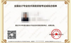 高级会计师考试,备考策略与评分规则解析