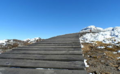 轿子雪山,轿子雪山自然奇观与人文风情之旅