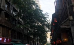 重庆市区休闲娱乐,畅游山城，乐享休闲时光