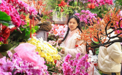 南京鲜花网,一站式鲜花订购，尽享便捷花艺生活”