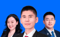 律师咨询