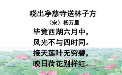 晓出净慈寺送林子方教案,感悟诗人情感——教学解析