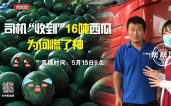 今日吃瓜爆料,娱乐圈最新猛料大揭秘！