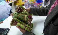 毒品的危害全球禁毒各国怎么做