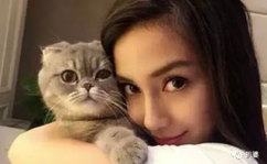 娱乐吃瓜猫咪视频大全,猫咪吃瓜视频大盘点
