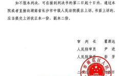 交通事故判决书,责任认定、赔偿金额与法律适用