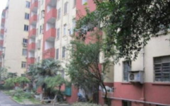 叙康里二手房,老小区新机遇，宜居环境与价格优势并存