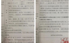 交通事故判决书,责任认定、赔偿金额与法律适用