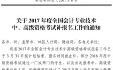 高级会计师考试,备考策略与评分规则解析