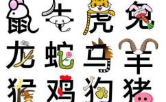 生肖配对,揭秘十二生肖的最佳伴侣