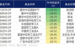 中国基金网每日净值,每日净值揭示市场动态，投资风向标一览无余”