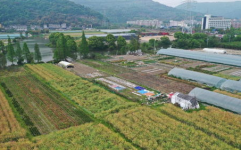 平阳县邮编,平阳邮政编码下的地域风情与便捷生活
