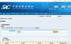 证券业协会 成绩查询,揭秘成绩查询流程与技巧