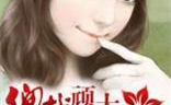 总裁的顽皮大少奶奶全文免费阅读,甜蜜宠爱与误会纠葛