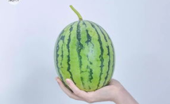 吃瓜网测评,热门美食背后的真相与惊喜