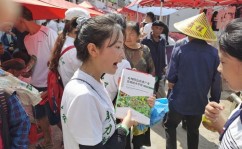 中幼板涉及直播的个股一览(附名单) ，来月经血黑如何回事，六关正在线%主力资金净流入打破2082万元将来走势怎么？-例假来的是玄色的是什么缘由