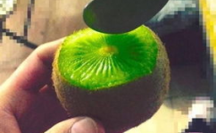 抖音网红最新吃瓜,揭秘娱乐圈幕后真相！