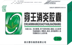 药品招商网,助力医药行业创新发展，共筑健康未来