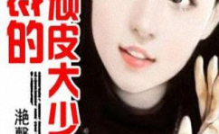 总裁的顽皮大少奶奶全文免费阅读,甜蜜宠爱与误会纠葛