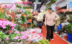 南京鲜花网,一站式鲜花订购，尽享便捷花艺生活”