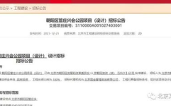 朝阳招标,聚焦基础设施建设与民生改善”