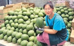 从“开盲盒”到“精准验”：“验瓜师”火了你“吃瓜”了吗？2025年6月14日吃瓜网在线进入