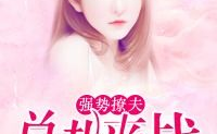 韩三千苏迎夏免费阅读全文章节,韩三千苏迎夏的豪门蜕变之路