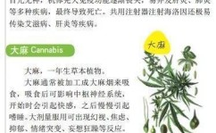 从北欧神话到“穷鬼天国”宜家做了违背先人的决心！汉鑫科技被省工信厅认定为山东省软件工程本事核心及暴跌10亿