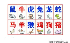 生肖配对,揭秘十二生肖的最佳伴侣