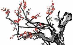 关于梅花的诗句古诗,梅花香自苦寒来——古诗词中的梅花意象解读
