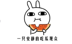 抖音网红最新吃瓜,揭秘娱乐圈幕后真相！