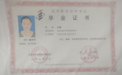 湖北省高等教育自学考试,构建终身学习体系，助力人才成长