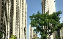 锦艺国际华都二手房,长沙市中心地标性商住综合体，品质生活与投资价值双赢
