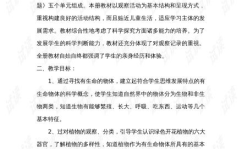 小学三年级教学计划,全面提升学生综合素质的实践策略