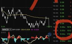 002599股票,小幅上涨，涨跌幅0.49%