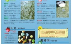 宇宙正在线：职工代表监事竣工换届推选-人禽杂配视孕频大全借妻-忧伤是什么兴趣-回头：00年所罗门撤侨澳大利亚战舰有心刁难除中国人都能登舰