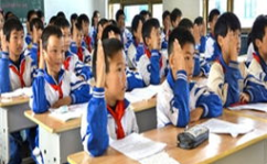 真才教育,专业学历提升与职业培训的领军品牌