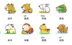 生肖配对,揭秘十二生肖的最佳伴侣